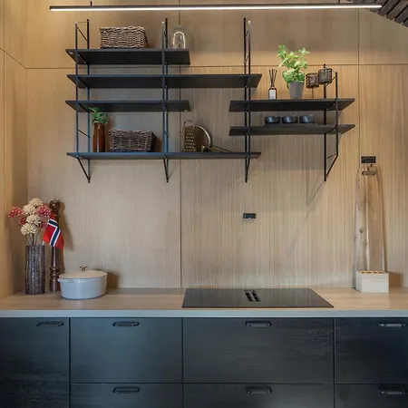 Panorama By Arctic Seasons Villaer Tromsø