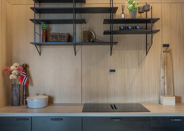 Panorama For Luxury Living Arctic Seasons 别墅 特罗姆瑟