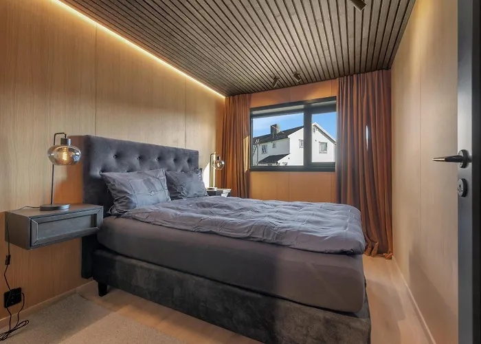 别墅 Panorama For Luxury Living Arctic Seasons